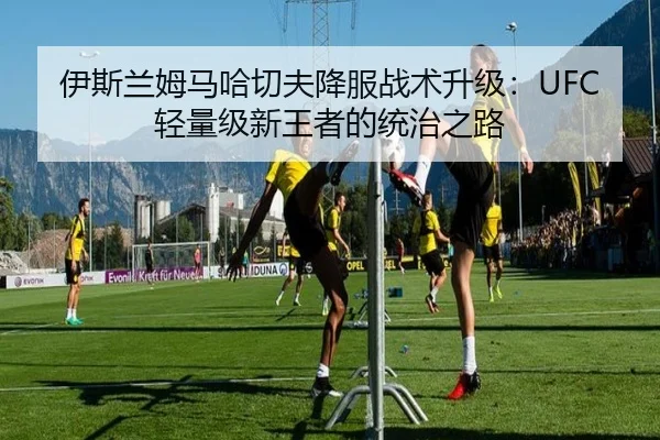 伊斯兰姆马哈切夫降服战术升级：UFC轻量级新王者的统治之路