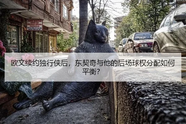 欧文续约独行侠后，东契奇与他的后场球权分配如何平衡？