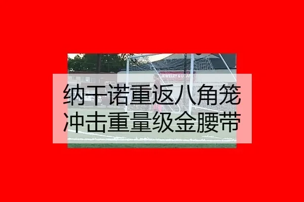 纳干诺重返八角笼 冲击重量级金腰带