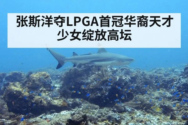 张斯洋夺LPGA首冠华裔天才少女绽放高坛