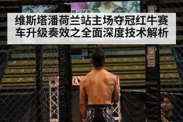 维斯塔潘荷兰站主场夺冠红牛赛车升级奏效之全面深度技术解析